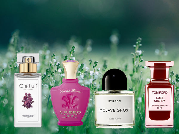 5 Tips to Online Fragrance Shop Like a Pro