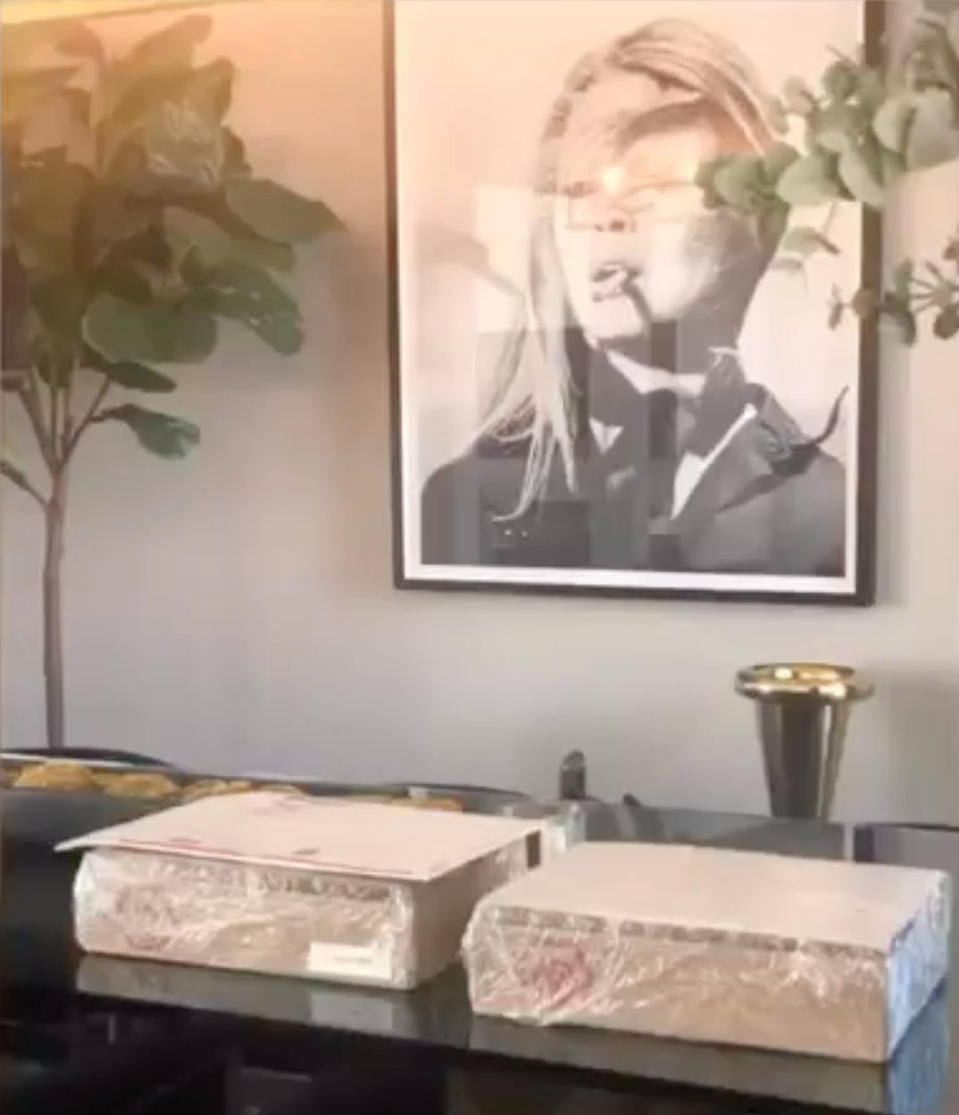 Celuí is Canadian Certified— CLEAN!